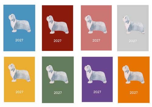 Bearded collie 2027 - collie, diary: