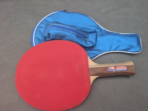 Lion table tennis - lion, bat