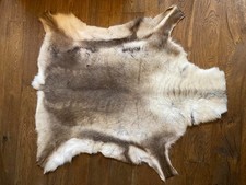 Genuine luxurious high quality  EXTRA EXTRA LARGE Reindeer hide - 1.66cm x 150cm