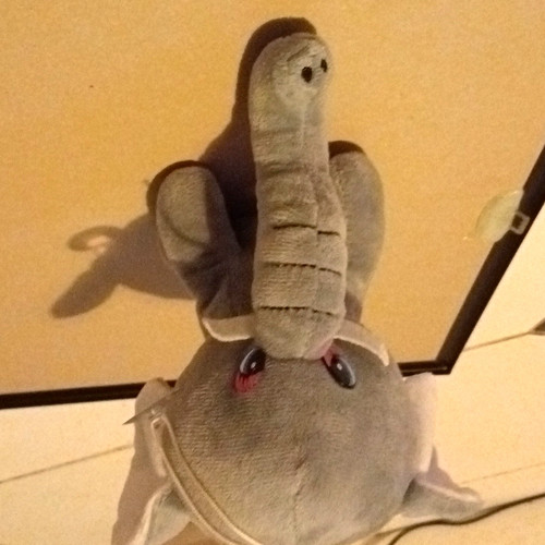 Grey plush stuffed elephant - plush,