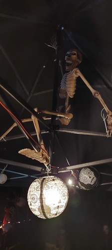 Halloween hanging party - halloween,