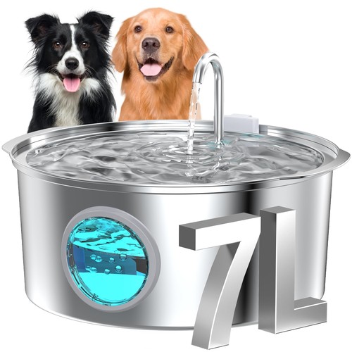 Dog water fountain for - fountain,