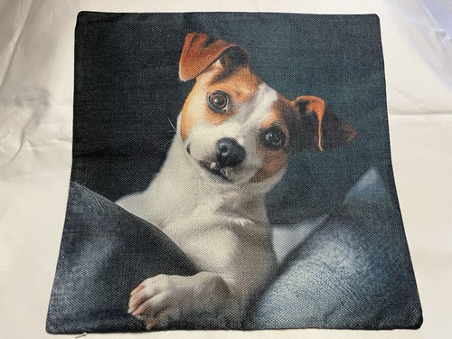 Adorable dog jack - dog,