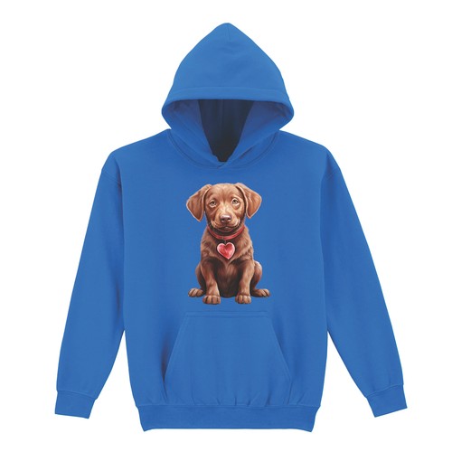Chocolate labrador puppy - puppy, with