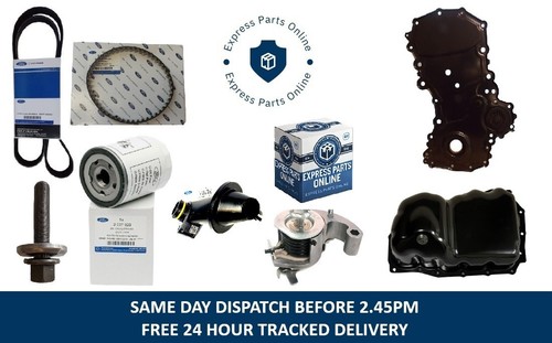 Rwd wet belt kit oil - rwd,