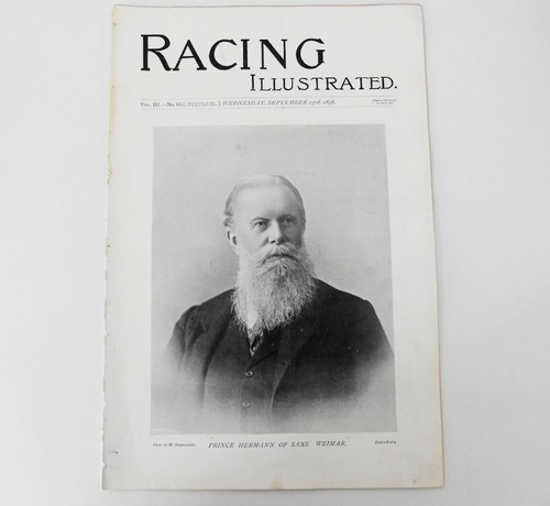 Horse racing illustrated - horse,
