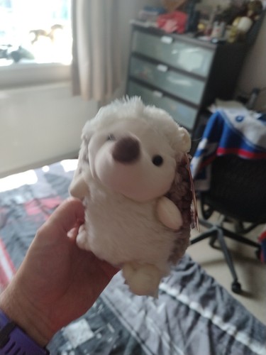 Kalidou enesco hedgehog - kalidou,