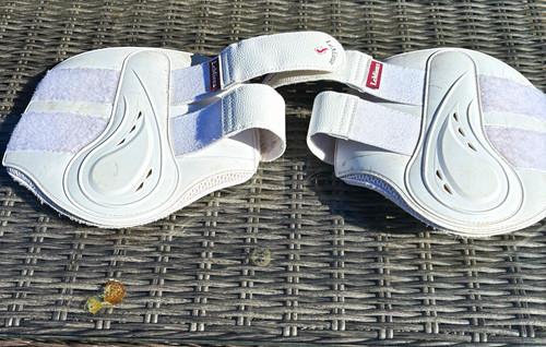 Lemieux horse proshell - lemieux,