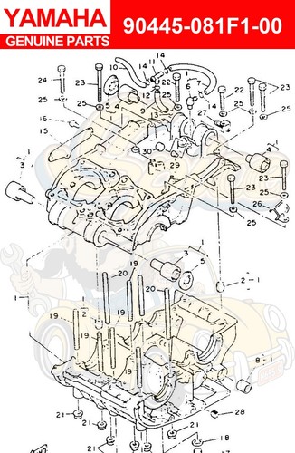 Yamaha hose - hose, (l508)