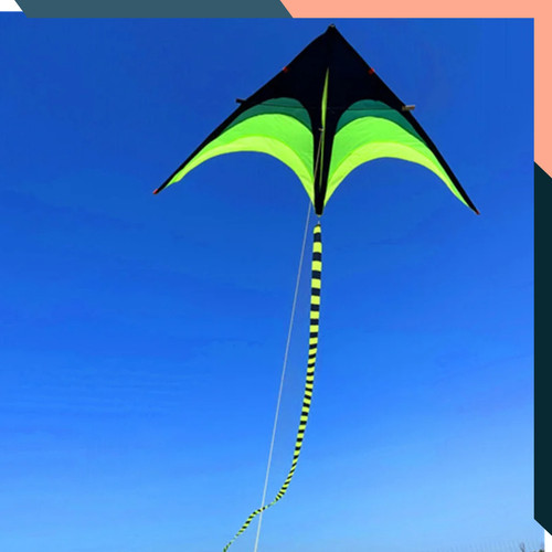 Large delta kite for - large,