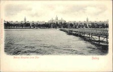 Antique Postcard Netley