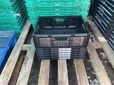 5 Collapsible Plastic Storage