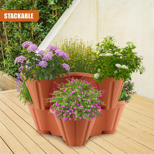 Trio stackable strawberry - stackable,