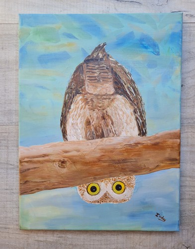 Little owl hanging - owl, upside