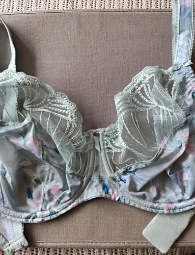 Fantasie bra size 36ff - fantasie,