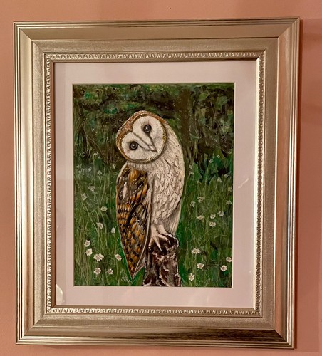 Barn owl stood - barn, post