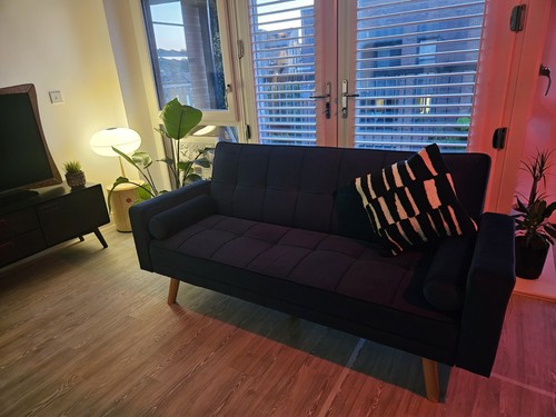 Mid century modern sofa - century, bed