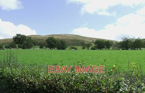 Photo grazing land - photo, near