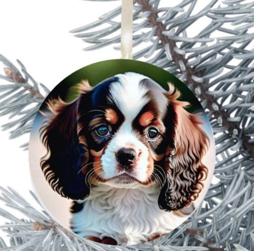 King charles cavalier spaniel - king,