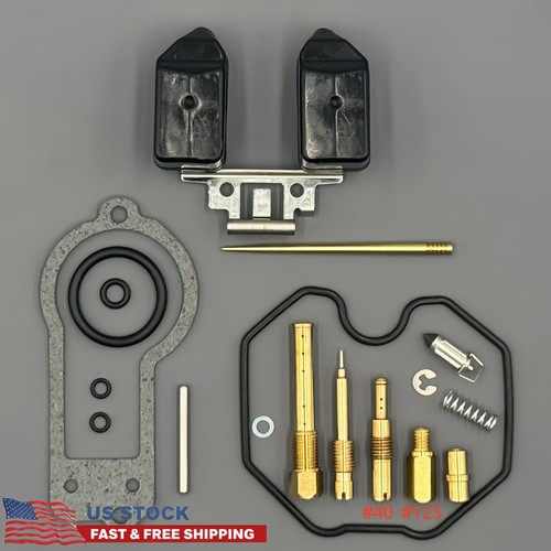 Carburetor rebuild kit - kit, for