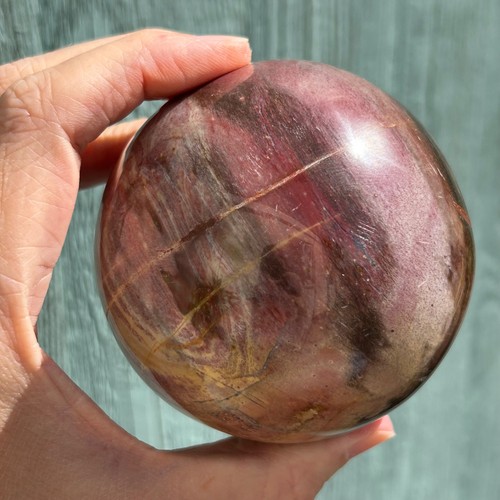 Petrified wood sphere - wood, (2)