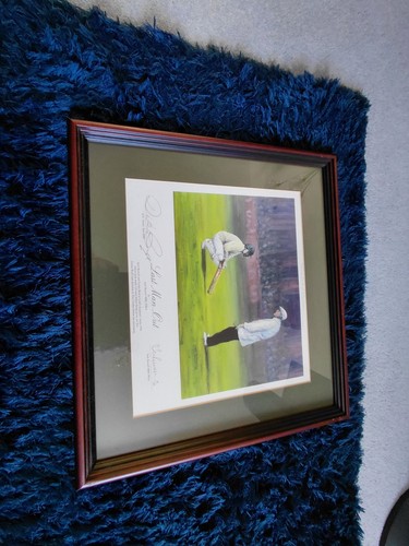 Jack russell cricket - russell,