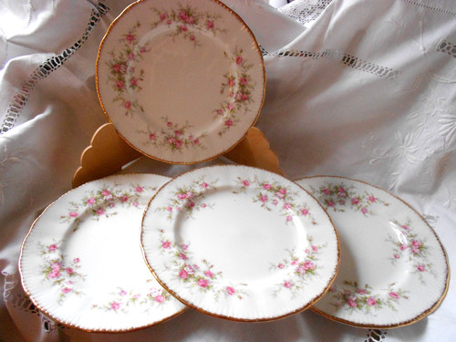 Four paragon victoriana rose - four,
