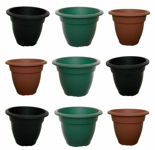 Plastic round plant - x,