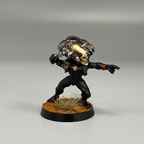 Culexus assassin metal painted - culexus,