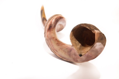 Shofar kudu horn yemenite - kudu,