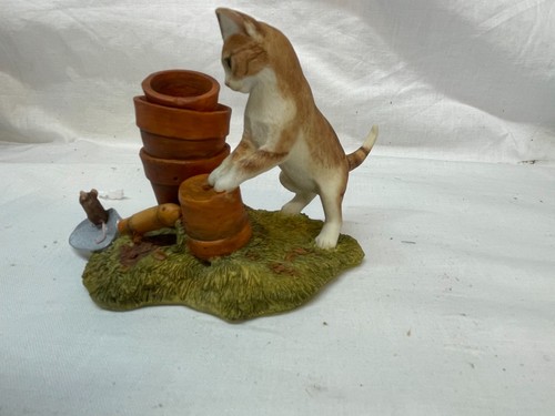 Sheratt and simpson kitten - sheratt,