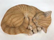 Sleeping Orange Tabby Cat