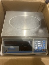 Salter Bracknell Counting