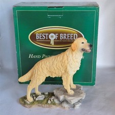 Best Of Breed  Large  Golden