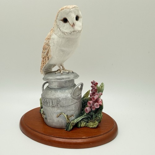 Border fine arts barn owl - fine,