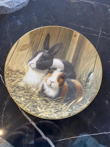 Rabbit collectible plate - rabbit,