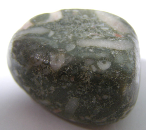Crinoid fossil tumblestone - tumblestone,