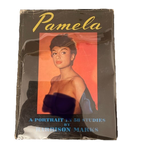Pamela portrait 58 - a, in