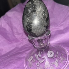 Orthoceras Fossil Egg Weighs