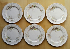 ROYAL ALBERT HAWORTH BONE