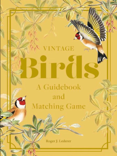 Vintage birds matching - birds,