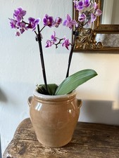 Vintage French Confit Pot