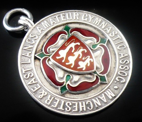 Sterling silver enamel - silver,