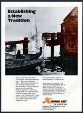 1973 Hobie Cat HobieCat