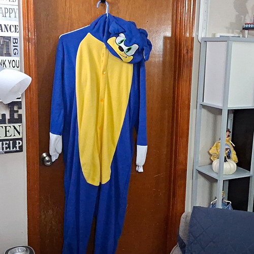 Sonic the hedgehog hooded - sonic,