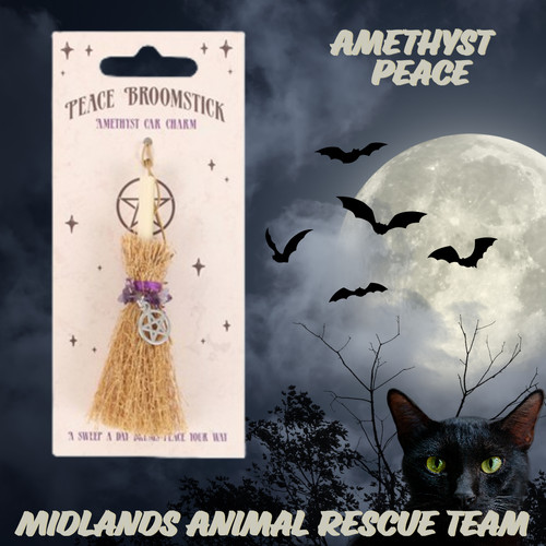 Crystal broomstick car charm - charm,
