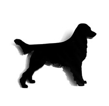 Flat Coated Labrador Retriever Dog Brooch Pin Scarf Fastener Black With Gift Bag