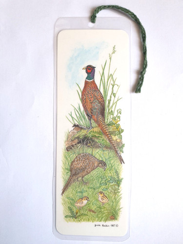Pheasant chicks bookmark - chicks,