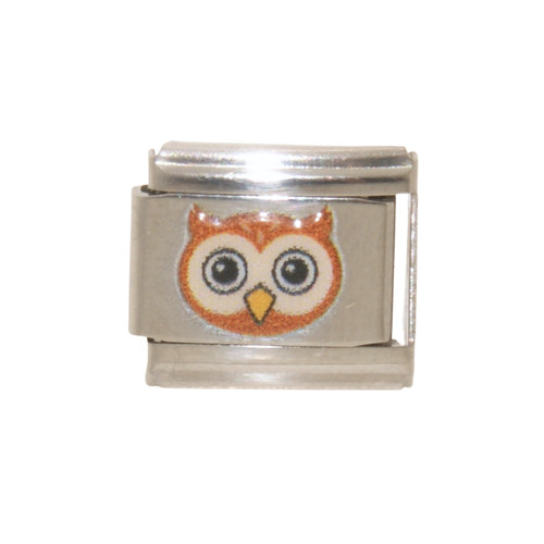 Cute brown owl face - cute,