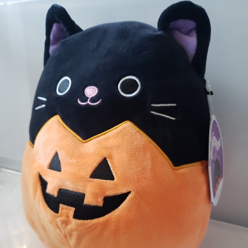 Squishmallow autumn cat - squishmallow,